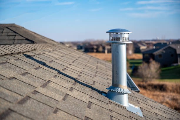 Ventilation & Roofing Checks